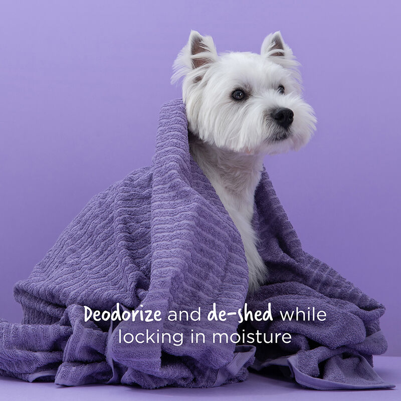CHI Vibes For Dogs 5-in-1 Shampoo & Conditioner 12 fl. oz. (355 ml)
