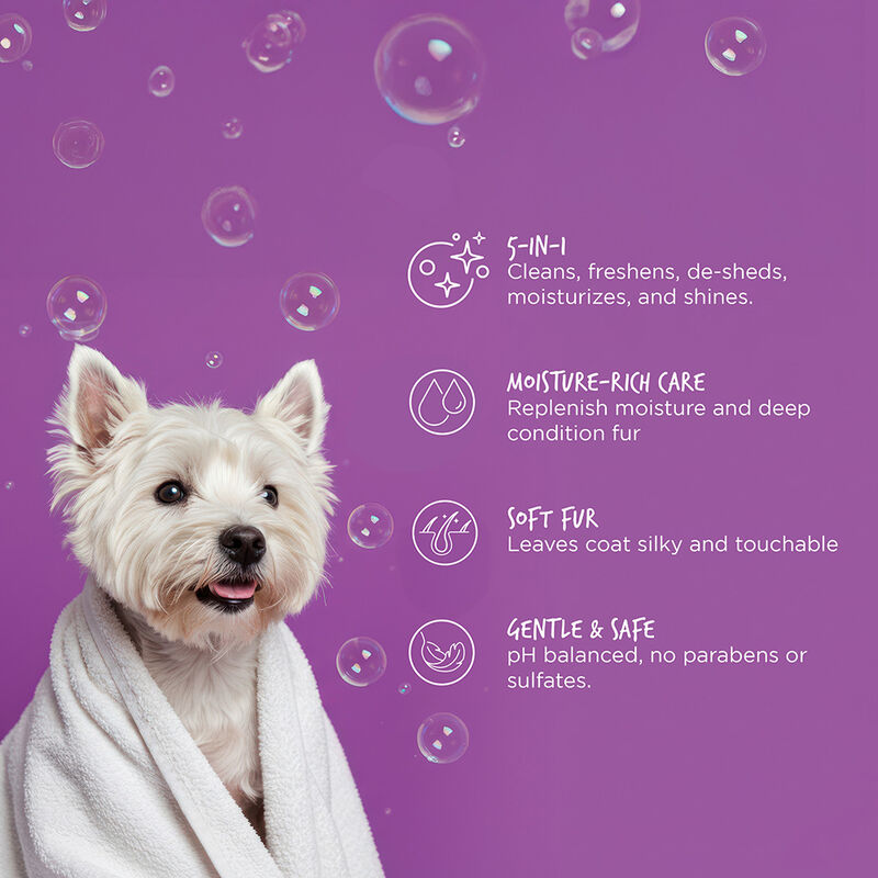 CHI Vibes For Dogs 5-in-1 Shampoo & Conditioner 12 fl. oz. (355 ml)