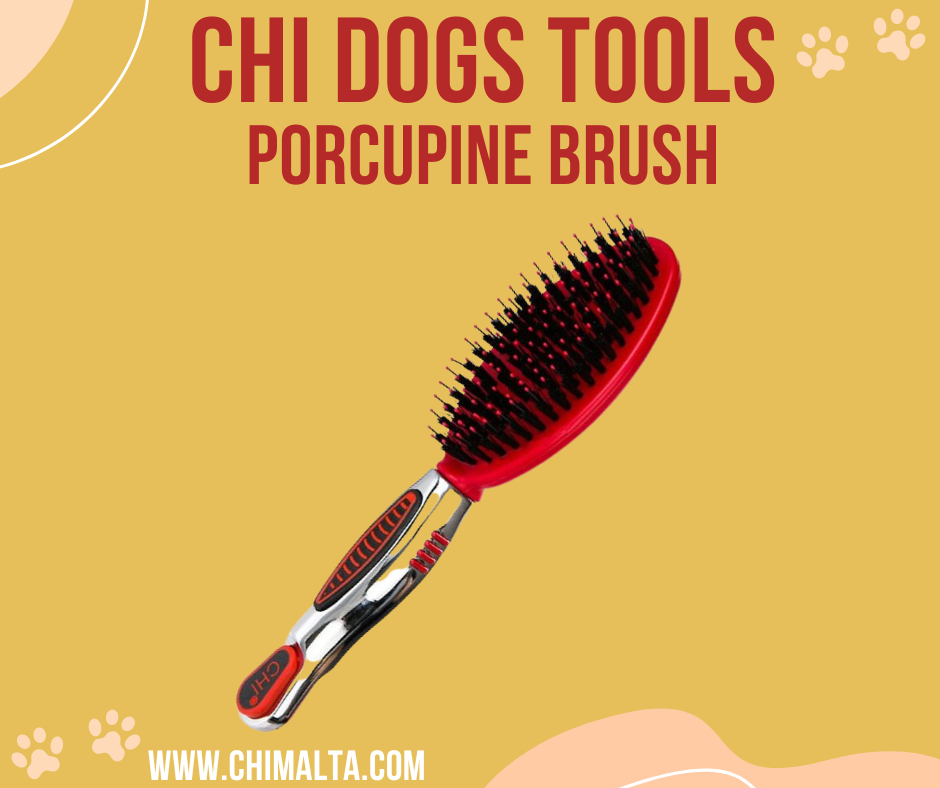 CHI PETS PORCUPINE BRUSH FOR ( DOGS )